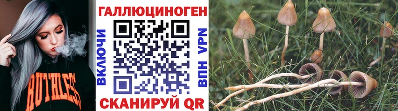 Галлюциногенные грибы Psilocybe  Юрюзань 